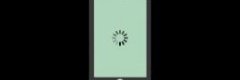 mobile website optimization page speed