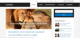 seo friendly wordpress themes