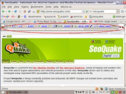 SEOQuake Screen Capture