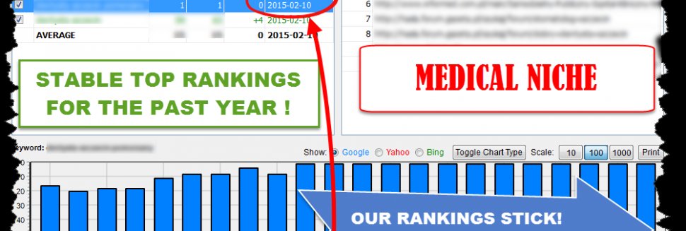 Houston SEO Consultants