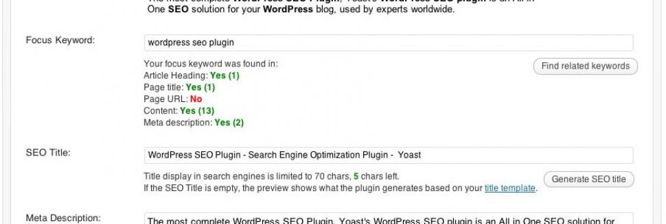 WordPress SEO plugin review