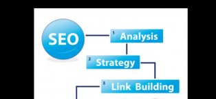 Best SEO Services provider