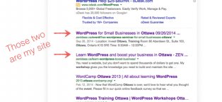 Learn WordPress SEO