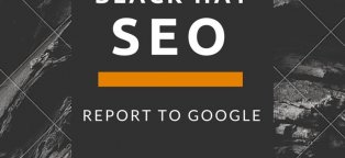 Report Black Hat SEO to Google