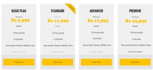 SEO Services in Delhi