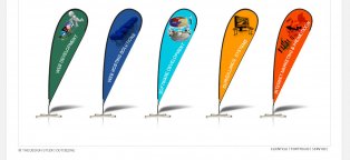SEO Web development Company