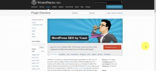 SEO WordPress plugins