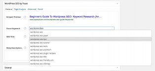 WordPress SEO keywords