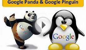SEO Tips: Google Panda, Pinguin en andere Website Tips