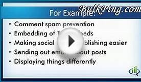 WordPress Plugins free online seo bulkping Movie