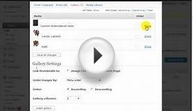 WordPress SEO Tutorial 16 - Using the SEO Friendly Images