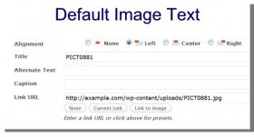 WordPress turns the image file name to title by default.